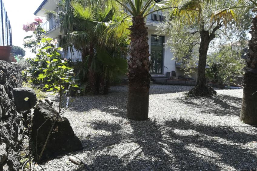 Le Palme in linera - foto 7