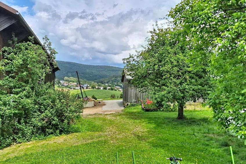 Böhmerwald Pur2 - foto 51