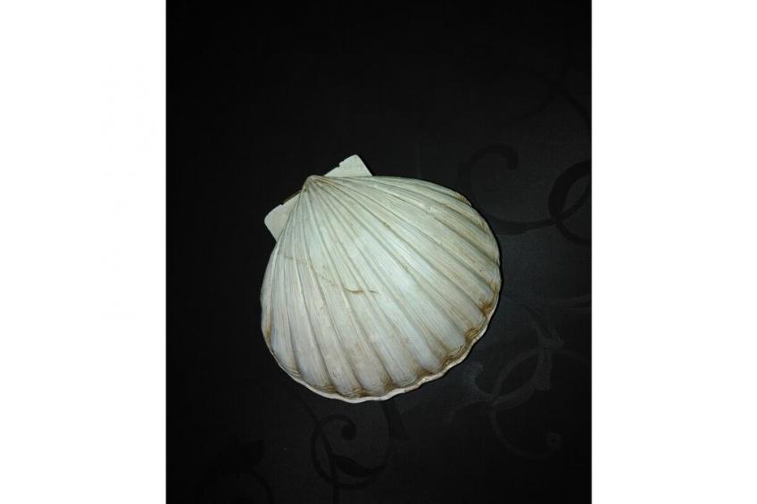 15431 - foto 14