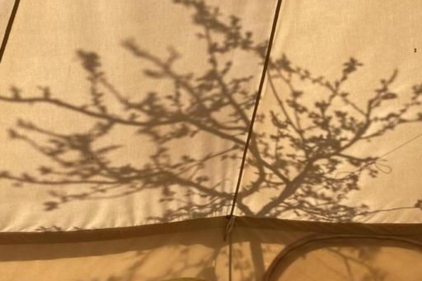 Zeltferien Into the Wäid "Zelt unter der Esche" - foto 11