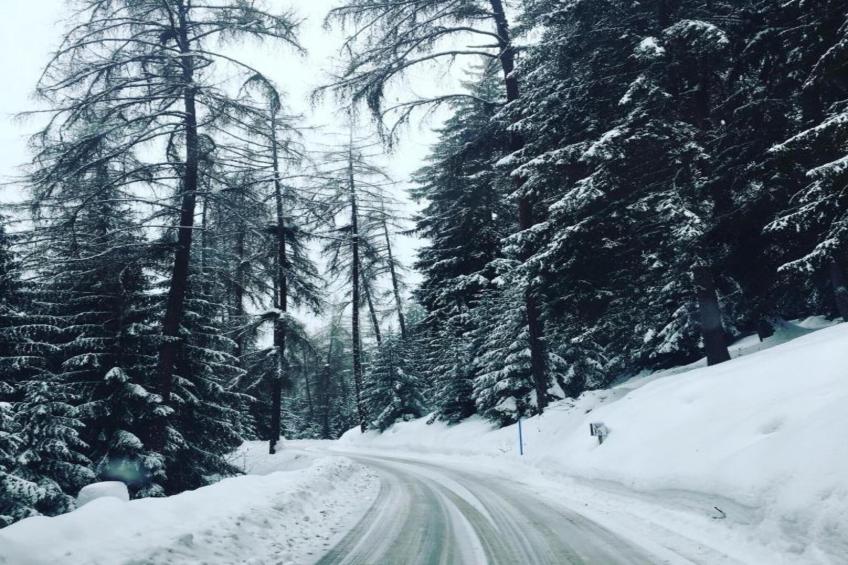 Fontanettaz V 014 - MOUNTAIN apartment 4 pers - foto 32