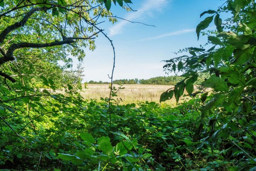 "Tuva" - 3.6km from the sea - foto 4