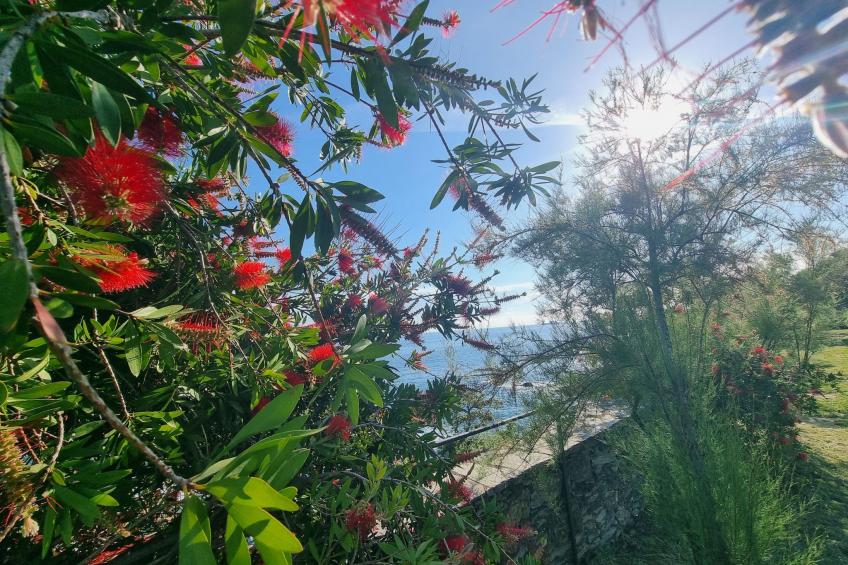 Haus Blu Capolungo von Holiday World - foto 16