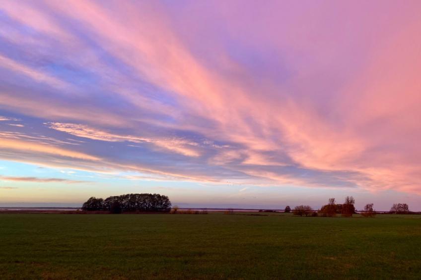 Wiesenblick 6 - foto 28