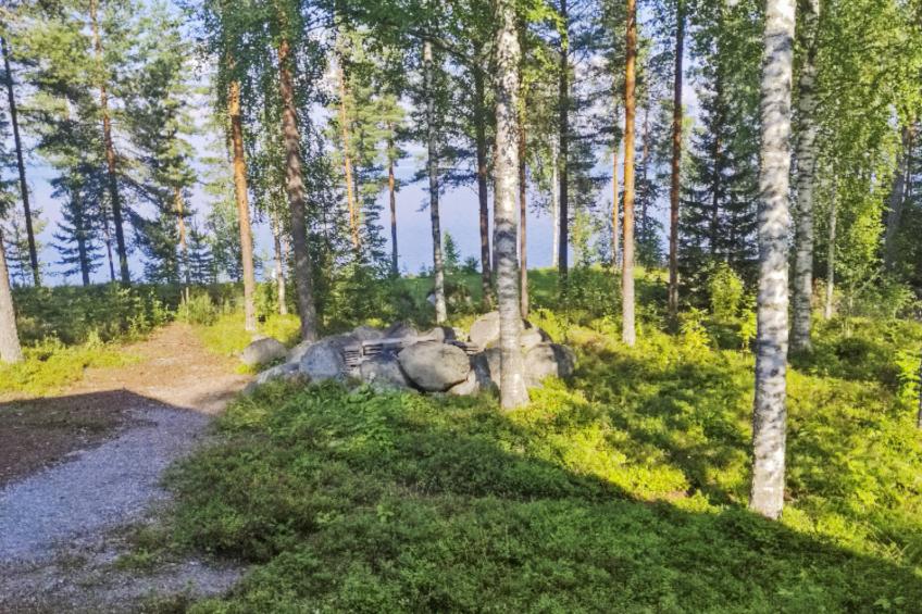 Koli, koliwood a - foto 43