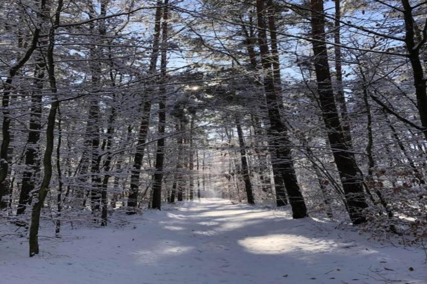 Holiday home Jedrek - foto 39