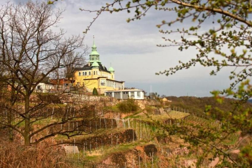 Fewo Natur und Kunst - foto 26