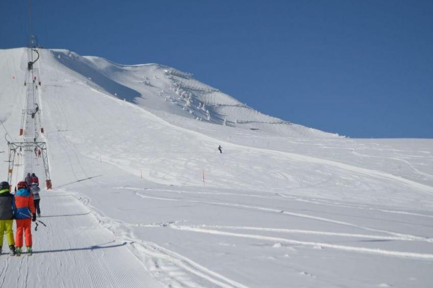 Steinadler - foto 16