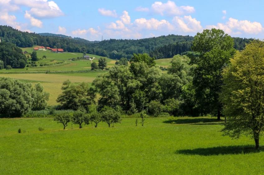 VILLA KATARINA - foto 19