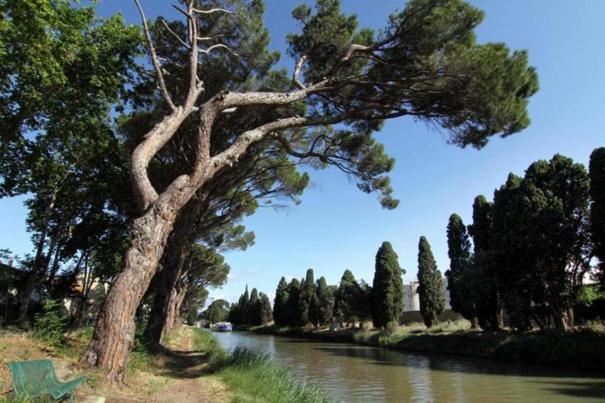 Résidence Côté Canal - foto 27