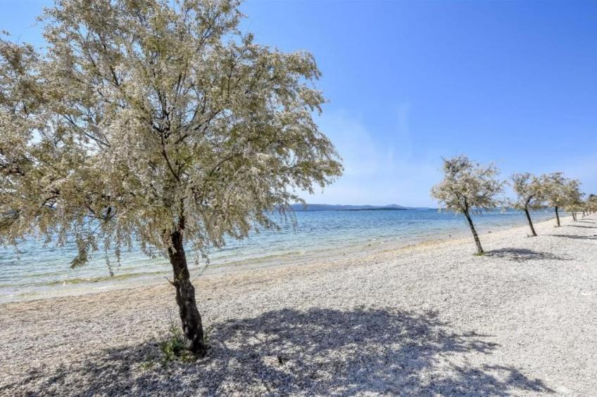 Camping Mobile Homes Bella Vita - foto 47