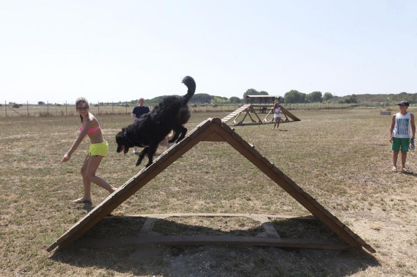 Club Degli Amici Capalbio Superior - foto 15