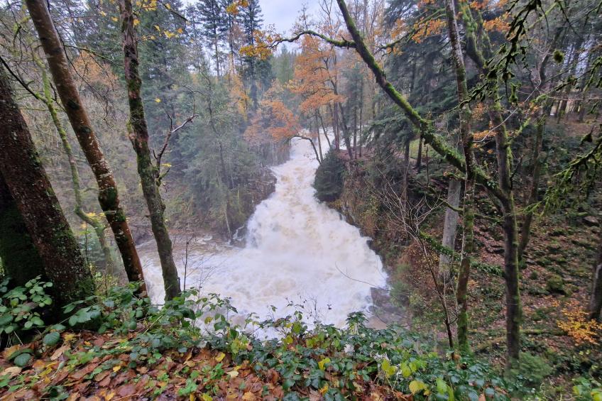 Le Chalet Sous Les Sapins, mit Swimmingpool, Sauna - foto 23