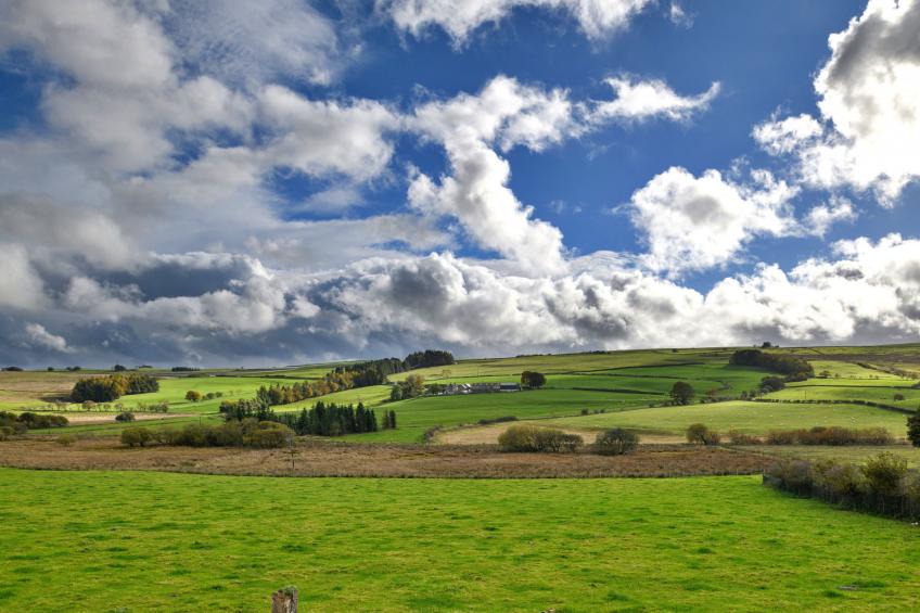 Bodlawen Holiday House - Edge of Snowdonia - foto 7