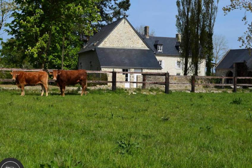 Maison de Vacances Sainte-Marie-du-Mont 14