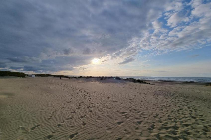 WESTDIEP/WEST31 - foto 28