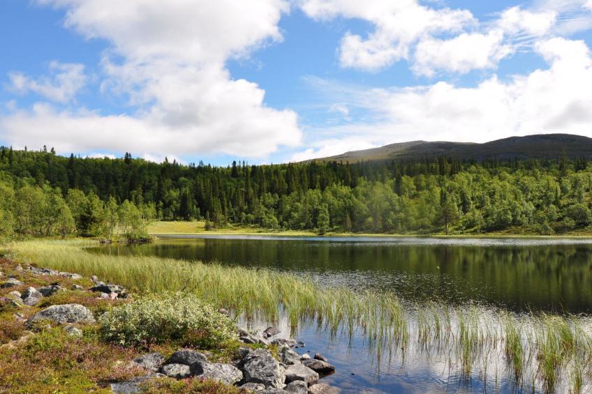 Charmantes modernes Blockhaus mit Kamin - foto 11