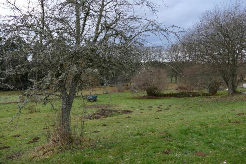 Gite Les Ayes - foto 31