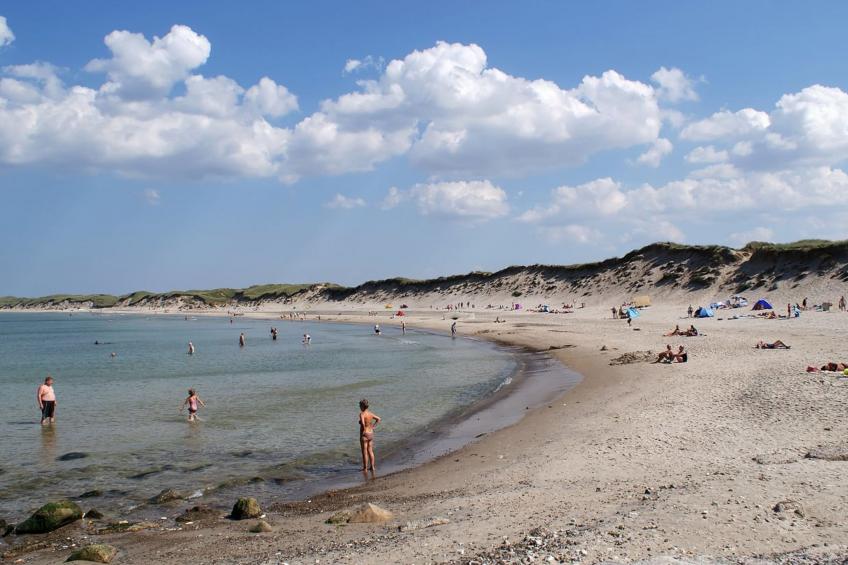 "Fani" - 200m from the sea - foto 31