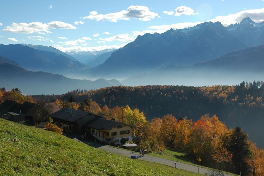 Dünser in Dünserberg - foto 5