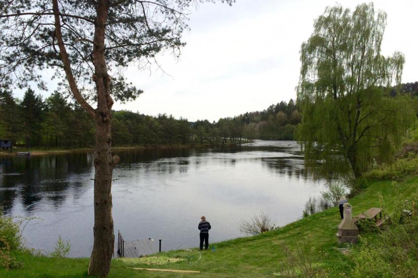 mit Blick auf das Wasser - foto 3