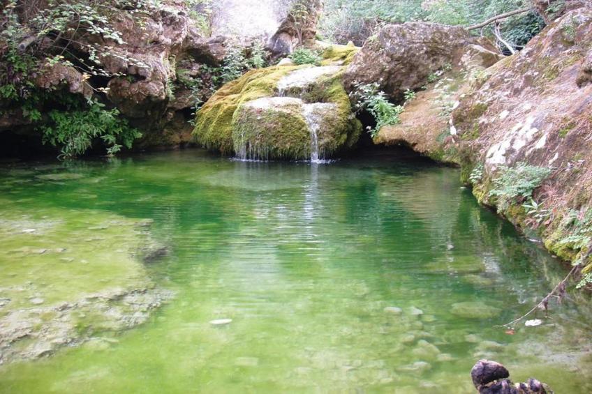 Mas de l'Arlequi - foto 39