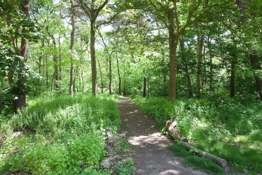 Vakantiepark de Katjeskelder 22 - foto 27