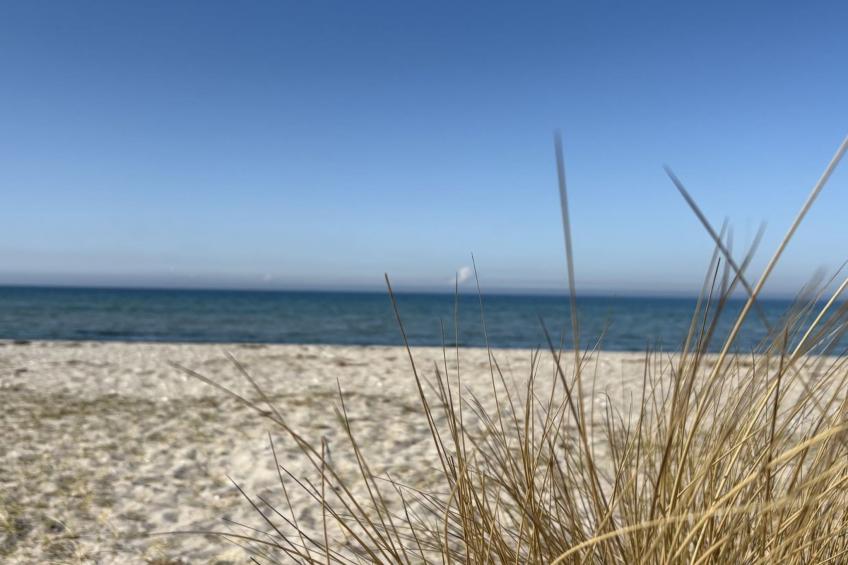 "Holmfridur" - 1.1km from the sea - foto 3