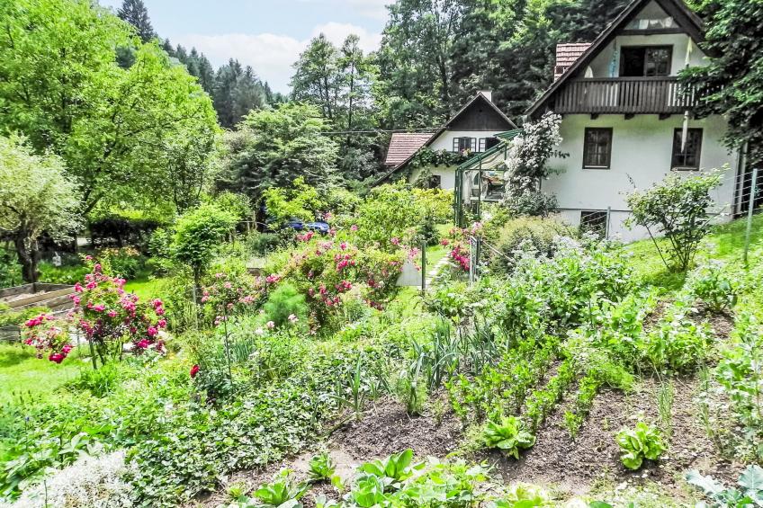 Himmelreichmühle - foto 7