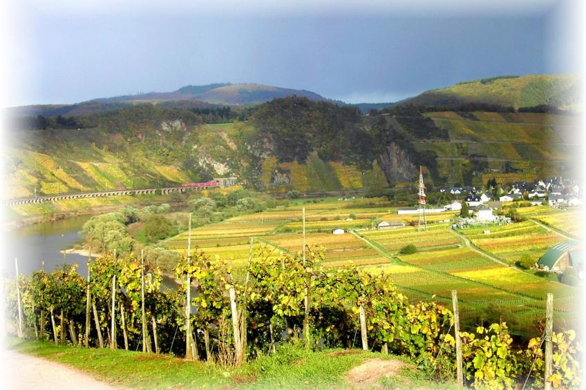zur Mosel - foto 19