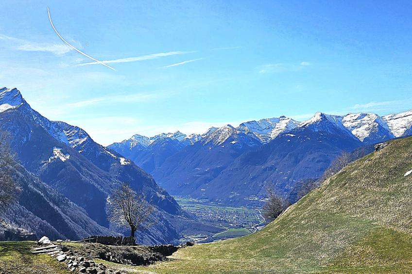 Cà dru Lurenz - foto 27