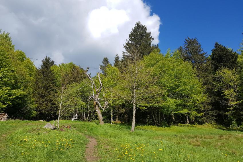 Charmante Wohnung in Langfurth mit Kleinem Balkon - foto 20