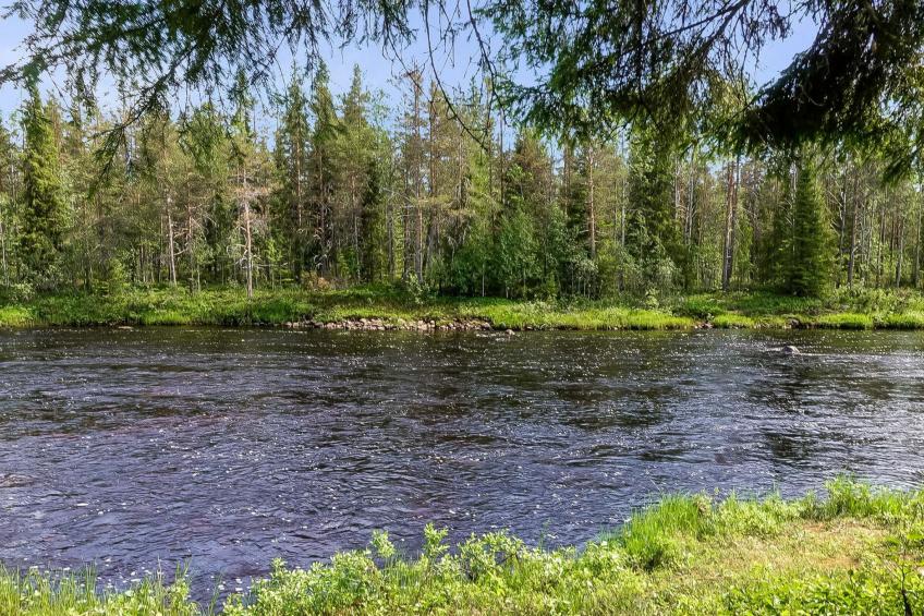 Kulpakko 2 - foto 18