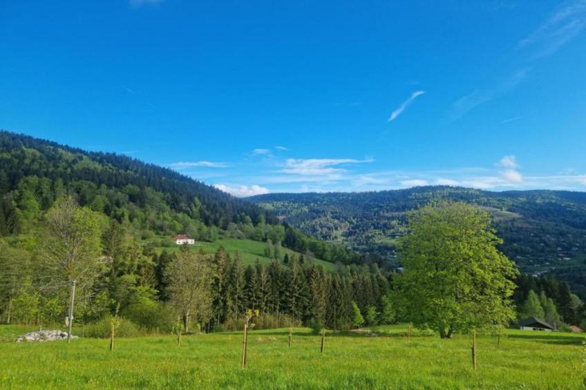 Maison de Vacances - Raon l'Étape - foto 40