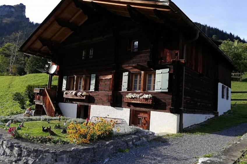 mit Bergblick - foto 29