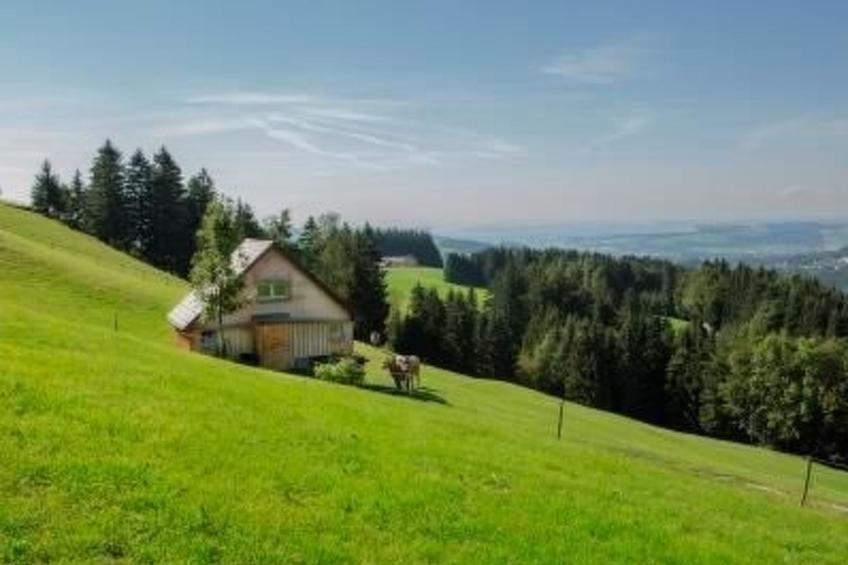 "Hüttli" neben dem Bauernhof Fendrig - foto 10