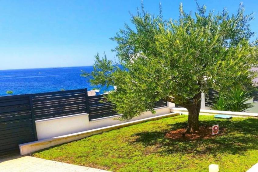 Villa Dolce Vita Sevid - foto 19