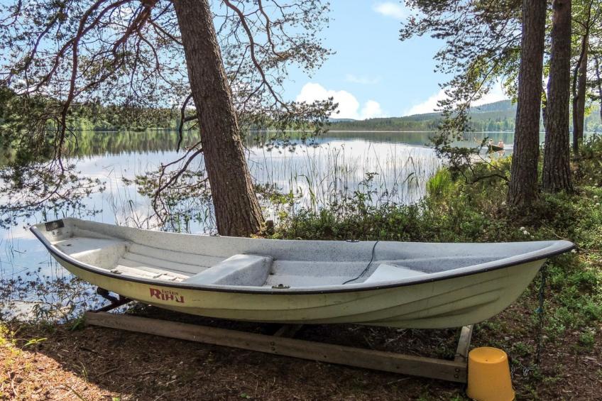 Koli, hiisiranta e4 - foto 22