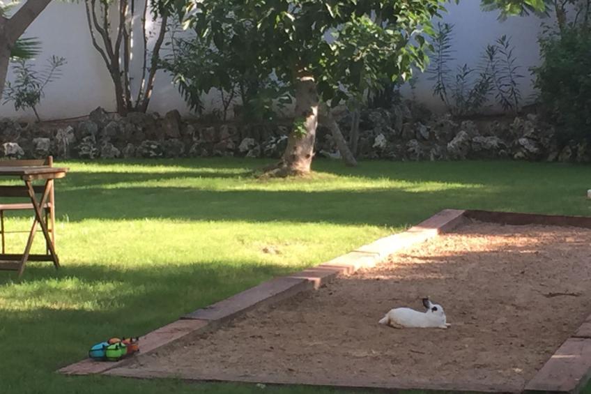 für 8 Personen - foto 16