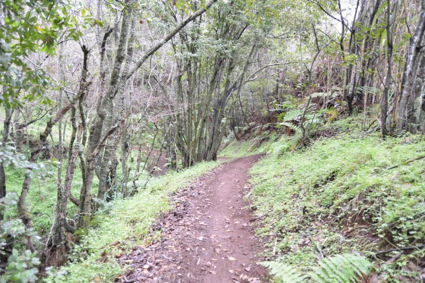 Sombra del Laurel - foto 32