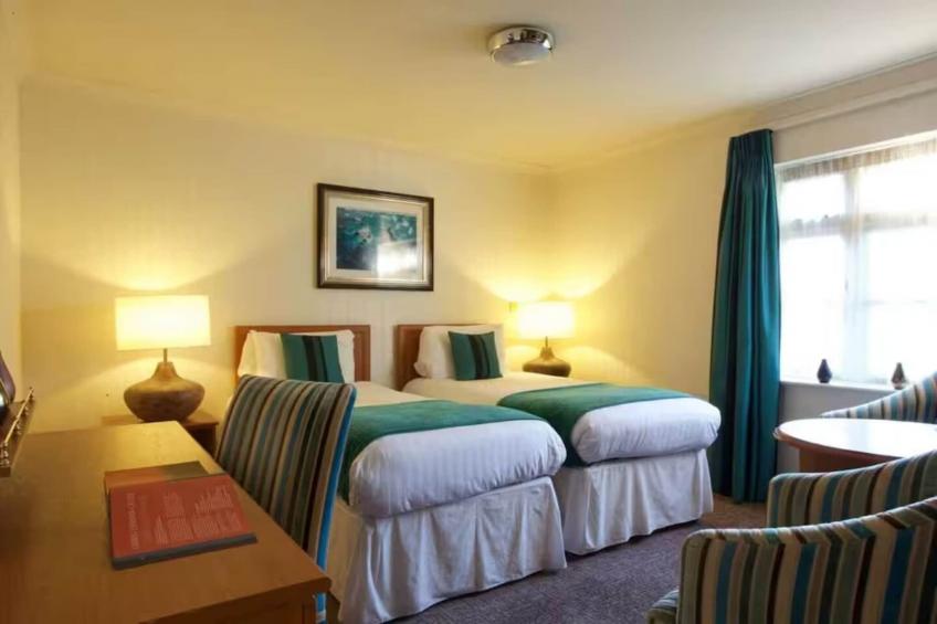 Deluxe Twin Room - foto 18