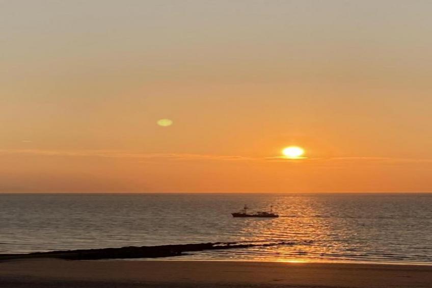 BRUYERES / 1 - foto 32