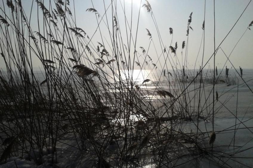 gemütlicher Bungalow - foto 29