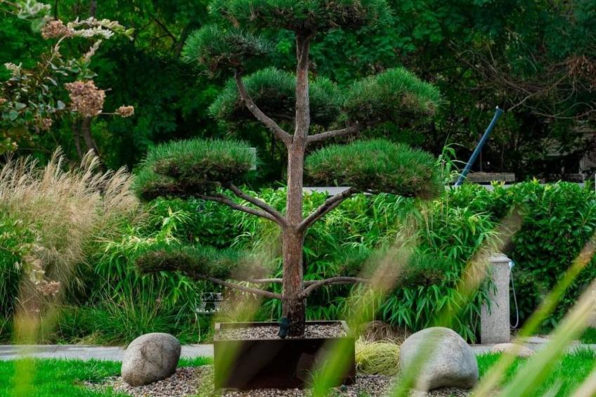 Studio "Allure Varna" mit Infinity-Pool - foto 3