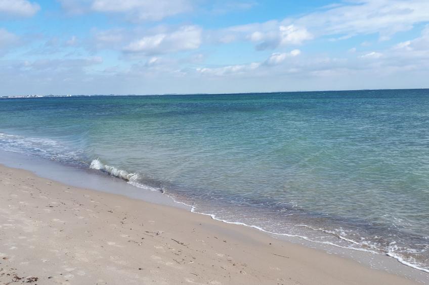 mit Grill und Garten in Neukirchen - foto 19