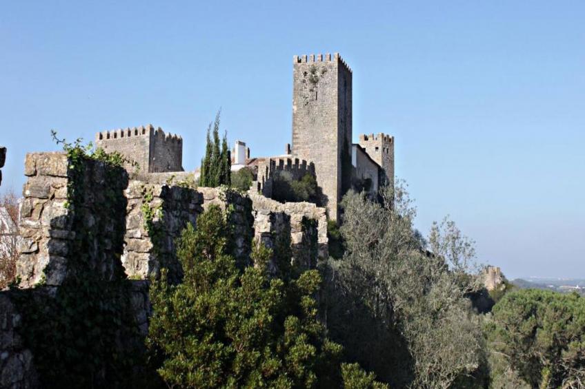 Golf, Pinienwald mit Pool - foto 20