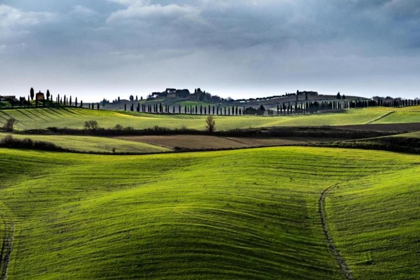 Appartamento Dante - foto 38