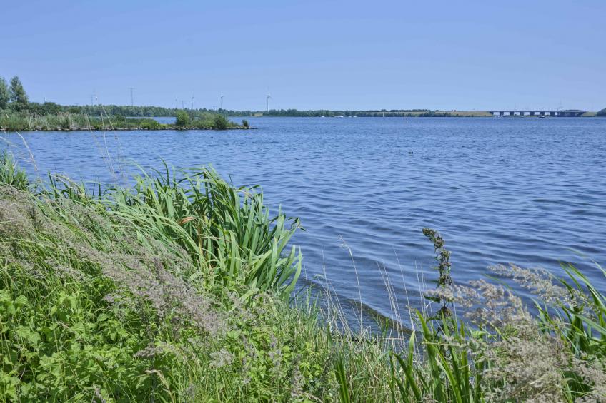 Poldergeluk - foto 2