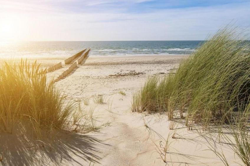 Resort De Parade - foto 23