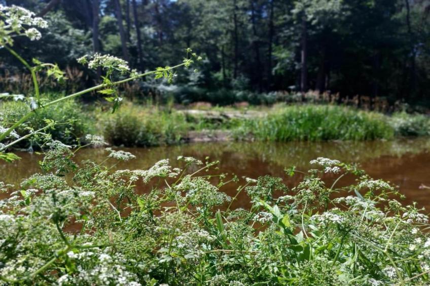 Chalet Egel - foto 20